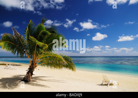 Palm Tree e sdraio in spiaggia, Paradise Cove, Aitutaki, Isole Cook Foto Stock
