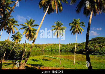 Isola interiore, Atiu, Isole Cook Foto Stock