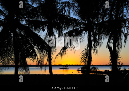 Tramonto attraverso gli alberi di palma, Maupiti, Polinesia Francese Foto Stock