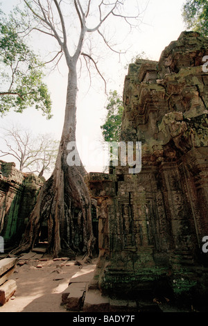 Angkor Wat, Siem Reap, Cambogia Foto Stock