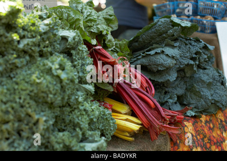 Le bietole in vendita presso agricoltore biologico di mercato del Foto Stock