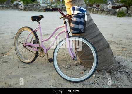 Bicicletta contro albero sulla spiaggia, Belize Foto Stock