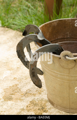 Ferri da cavallo e secchio di acqua Foto Stock