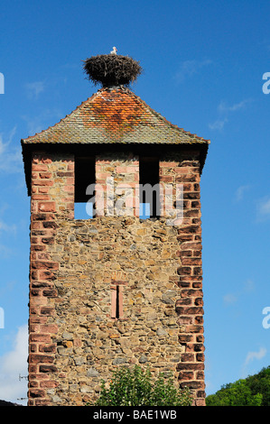 Cicogna nel nido sulla sommità della torre, Kaysersberg, Haut-Rhin, Alsazia, Francia Foto Stock