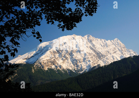 Monte Watzmann e acero, Baviera, Germania Foto Stock