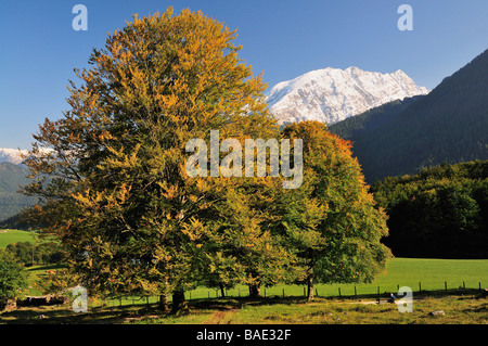 Valle e le montagne, Hagengebirge, Baviera, Germania Foto Stock