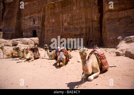 I turisti sui cammelli ingaggiato ride passato Royal Nabataean tombe scavate nella pietra arenaria della città antica di Petra, Giordania Foto Stock