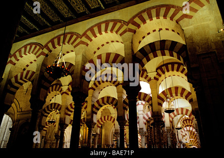 Spagna, Andalusia, Cordoba, dettaglio dell'architettura interna dell'ex grande Moschea (Mezquita Santa Iglesia Catedral de Foto Stock