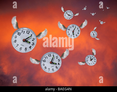 Il tempo vola il tempo vola lontano come tempo vola sulle ali del tempo tempo ha le ali il passaggio del tempo tempo passa rapidamente Foto Stock