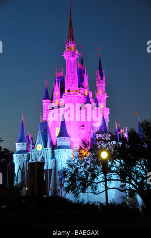 Illuminata di sera vista del Castello di Cenerentola a Walt Disney il Parco a Tema del Regno Magico di Orlando in Florida centrale Foto Stock