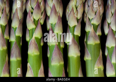 Gli asparagi Spears Foto Stock