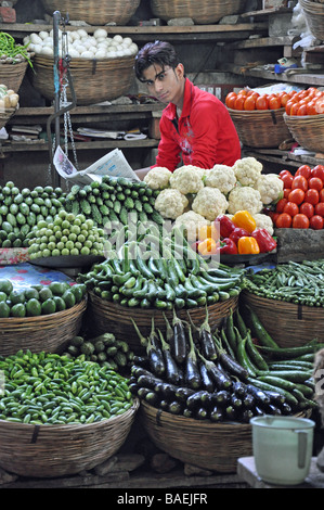 Un uomo che legge il suo giornale in Ahmedabad mercato di frutta e verdura Foto Stock