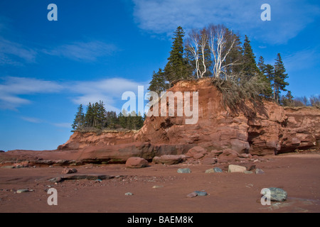 Bassa marea a testa Burncoat Park - Baia di Fundy, Minas Basin, Testa Burncoat, Nova Scotia, Canada Foto Stock