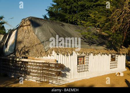 Messico La playita cane dorme nella sabbia al di fuori di piccola casa in legno con tarp sparsi su tetto di paglia Foto Stock