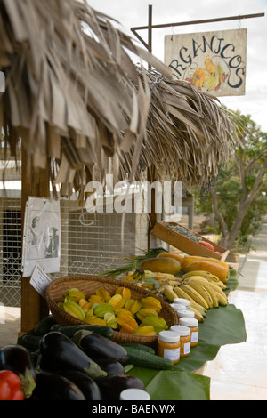 Messico Todos Santos strada stand con vendita di frutta e verdura biologiche nella piccola città del Messico Foto Stock