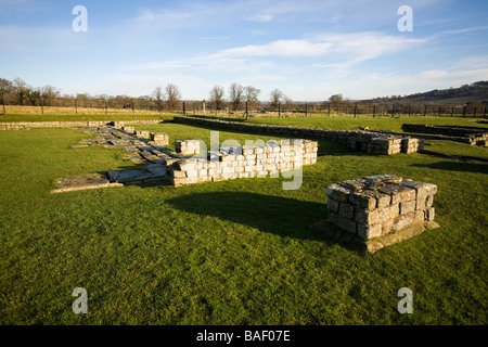 Sede s Building al Chesters Roman Fort Northumberland Inghilterra Foto Stock