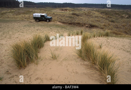 Dune di sabbia di restauro a stabalisation Ainsdale dune di sabbia Riserva Naturale Nazionale Lancashire Foto Stock