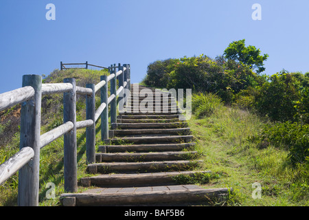 Cape Byron riserva operazioni automatiche di fine campo a piedi via, Byron Bay, Nuovo Galles del Sud, Australia Foto Stock