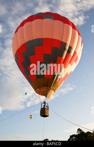 In mongolfiera ad aria calda sorgere all alba, Parramatta, Sydney, Nuovo Galles del Sud, Australia Foto Stock