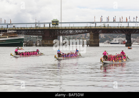 Gara di Dragon Boat, Sydney, Nuovo Galles del Sud, Australia Foto Stock