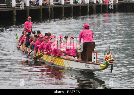 Gara di Dragon Boat, Sydney, Nuovo Galles del Sud, Australia Foto Stock