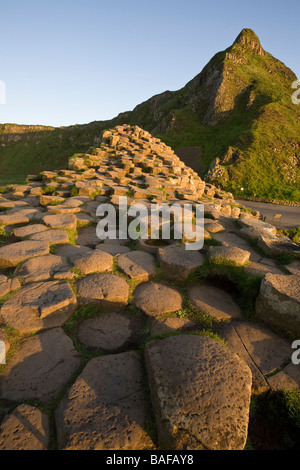 Causeway Pinnacle. Le colonne esagonali di Causeway illuminata da un sole che conduce lo sguardo verso un verde a forma di piramide hill Foto Stock