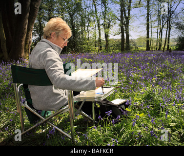 Donna di verniciatura di un bluebell scena. Staffhurst boschi, Surrey, Inghilterra, Regno Unito. Foto Stock