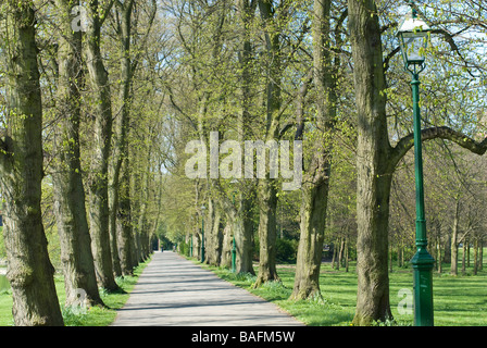 Preston Avenham Park sul fiume Ribble Foto Stock