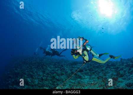 Uso subacqueo Reef gancio in corrente angolo blu Micronesia Palau Foto Stock