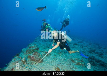 Uso subacqueo Reef gancio in corrente angolo blu Micronesia Palau Foto Stock