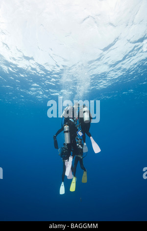 Sommozzatore facendo sosta deco angolo blu Micronesia Palau Foto Stock