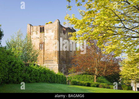 Castello di Guildford, Surrey, Regno Unito Foto Stock