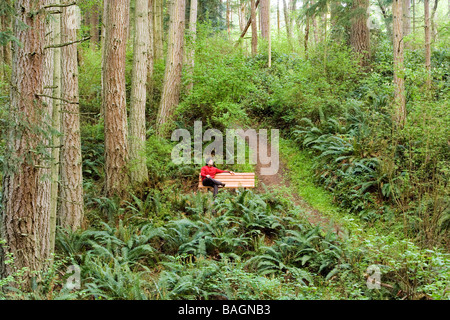 Persona su una panchina nel parco tra le felci - Camano Island State Park - Camano Island, Washington Foto Stock