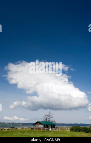 Unica formazione cloud oltre il rifugio picnic - Camano Island State Park, Washington Foto Stock