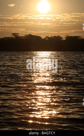 Tramonto di Amazon Foto Stock