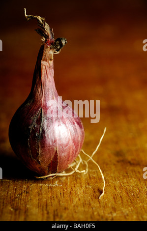 Foto di cipolle rosse su un rustico in legno tavolo da cucina Foto Stock