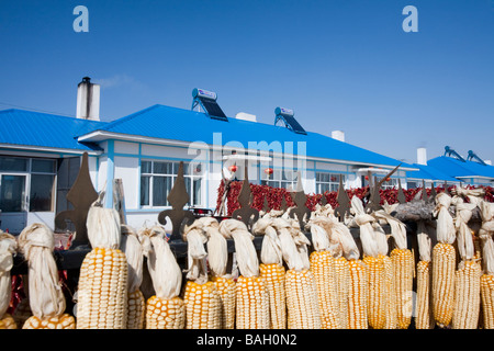 Una casa colonica con calorifero di acqua solare sul tetto vicino a Harbin in Cina settentrionale Foto Stock