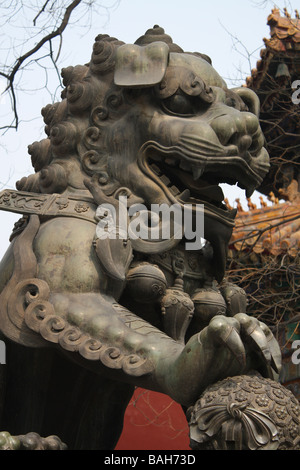 Lion statuto presso il Tempio Lama a Pechino in Cina Foto Stock