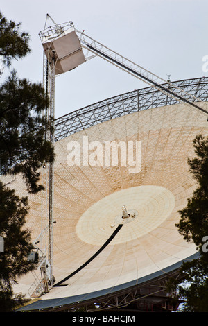 Questo CSIRO radio telescopio a Parkes in Central West NSW è stato utilizzato per ricevere il primo video dal Opollo 11 sbarco sulla luna. Foto Stock