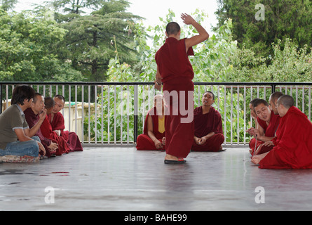 I monaci tibetani discutano la filosofia buddista al Tempio di Tsuglagkhang a Mcleod Ganj, Dharamsala, India Foto Stock