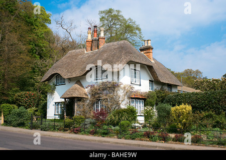 Beehive Cottage a verde Swan Lyndhurst nel nuovo Parco Nazionale Foreste Hampshire Inghilterra Foto Stock