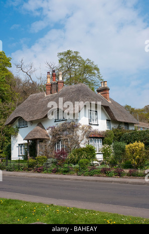 Beehive Cottage a verde Swan Lyndhurst nel nuovo Parco Nazionale Foreste Hampshire Inghilterra Foto Stock