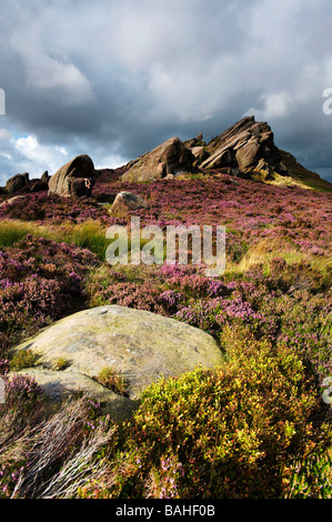 Ramshaw rocce, Parco Nazionale di Peak District, Staffordshire REGNO UNITO Foto Stock