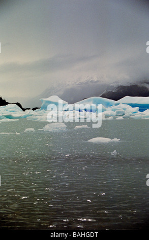 Floating blu formazioni di ghiaccio sul lago grigio, parco nazionale Torres del Paine, Cile Foto Stock