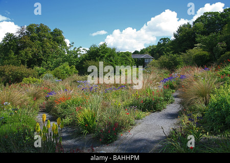 Il sudafricano giardino presso il Garden House di Buckland Monachorum, Devon, Inghilterra, Regno Unito Foto Stock