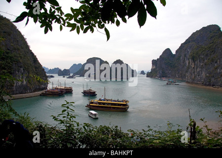 Ingresso alla Hang Sung Sot grotte nella Baia di Ha Long Vietnam Foto Stock