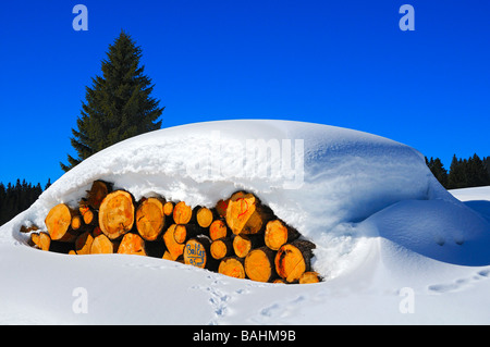 Prodotti forestali, registri di legno sotto una spessa coperta di neve, Giura, Svizzera Foto Stock