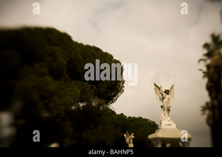 Angelo statua Angelus Rosedale cimitero di Los Angeles in California negli Stati Uniti d'America Foto Stock