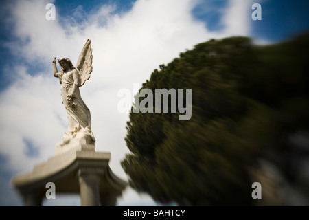 Angelo statua Angelus Rosedale cimitero di Los Angeles in California negli Stati Uniti d'America Foto Stock