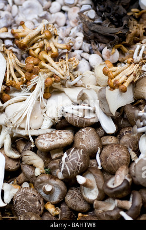 Funghi su una bancarella al mercato di Borough, London SE1 Foto Stock